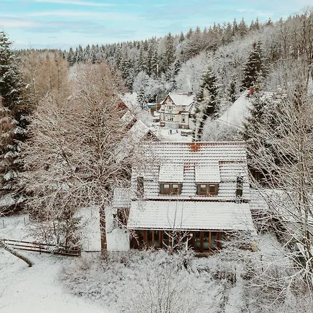 Ferienhaus Harzchalet 2b